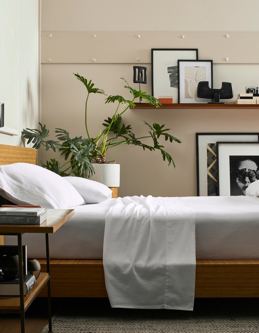 Soft-Wash Cotton Sheet Set