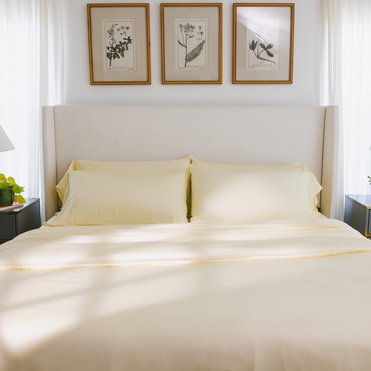 Bamboo Sheet Set - Wholesale