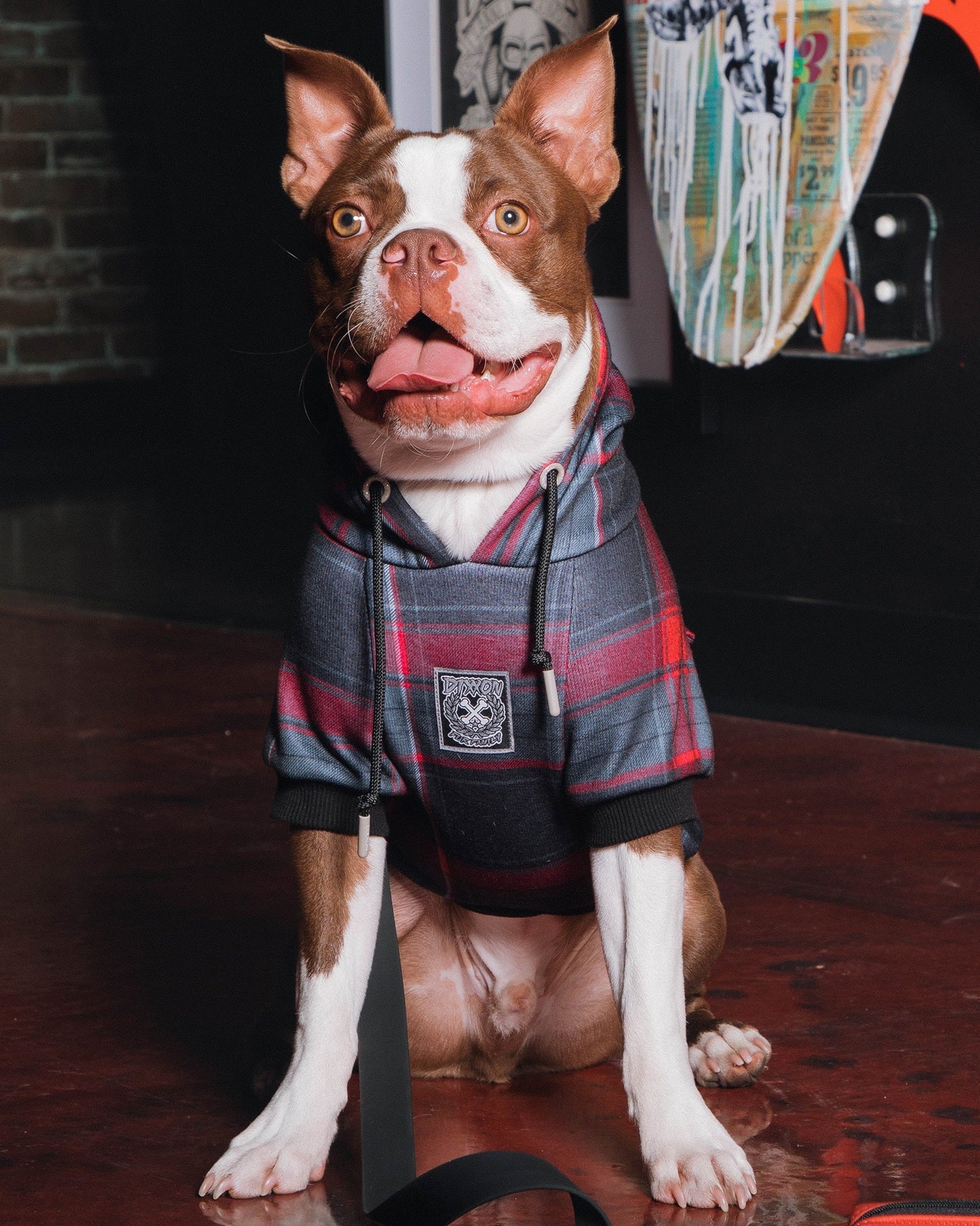 Dog Hoodie - Royal Flush